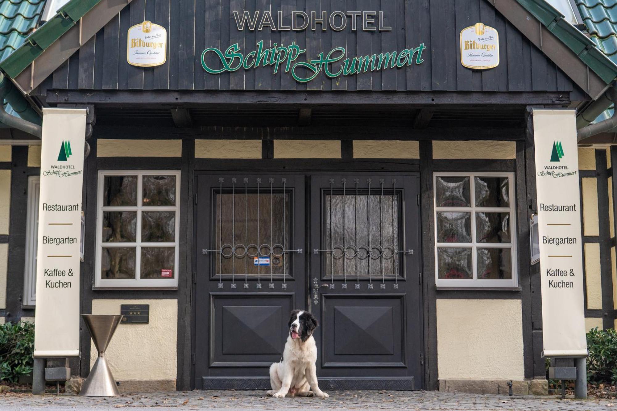 Waldhotel Schipp-Hummert Emsdetten Luaran gambar